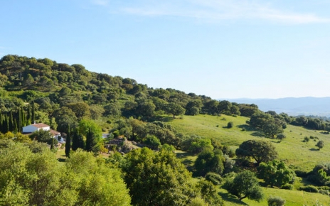 Seclusion at this Gaucin country house